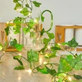Two color Ivy Vines