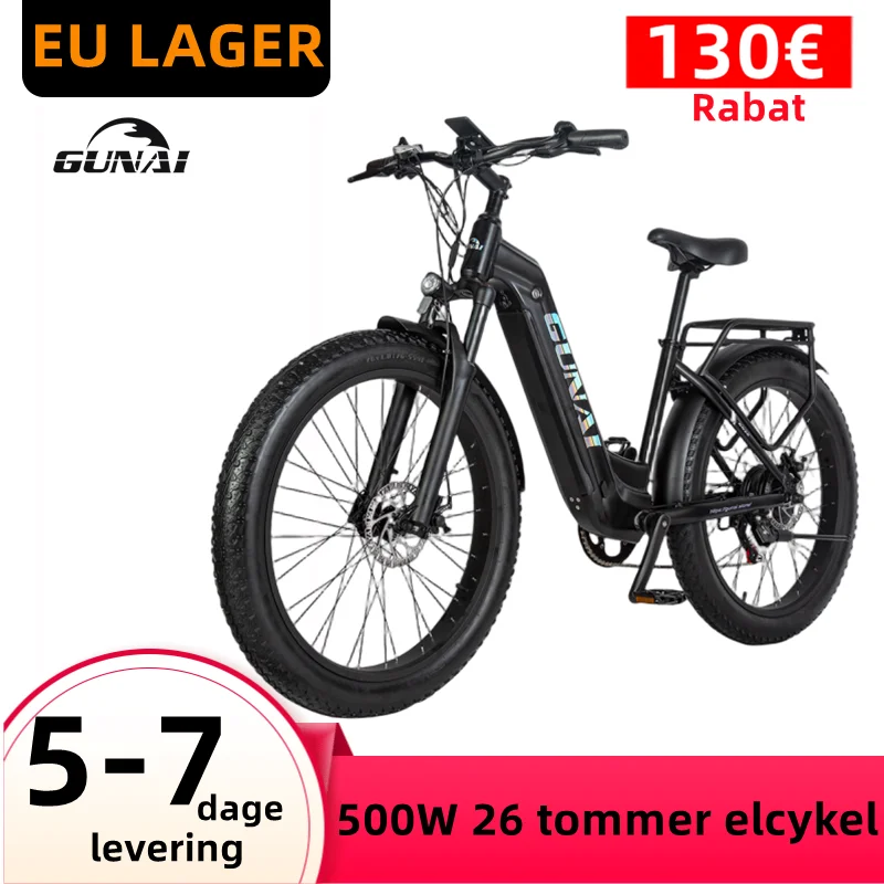 Electric Bicycle