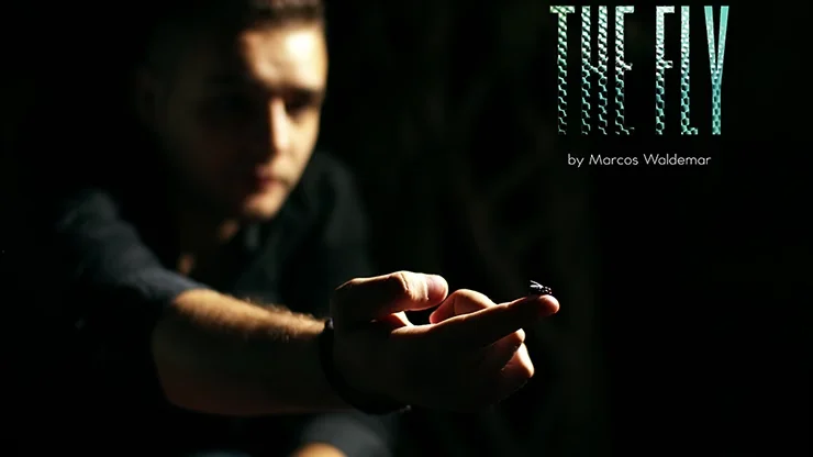 Marcos Waldemar Tricks의 The FLY(특수 효과 및 온라인 지침) 카드 마술 환상 전문 마술사를 위한 유령 카드 상자