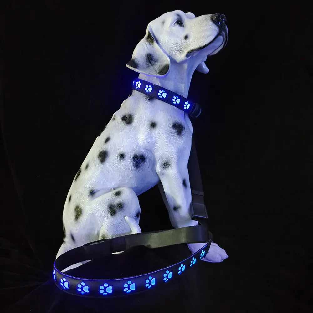 Collar Led Para Perros