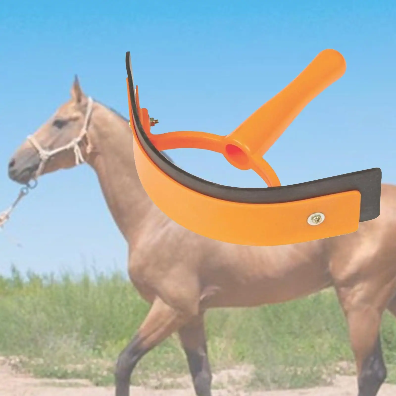 Portable Horse Sweat Scraper Grooming Shaving Cleaning Horse Mane and Tail Brushes with Handle Equine Care Tool Accessories 3