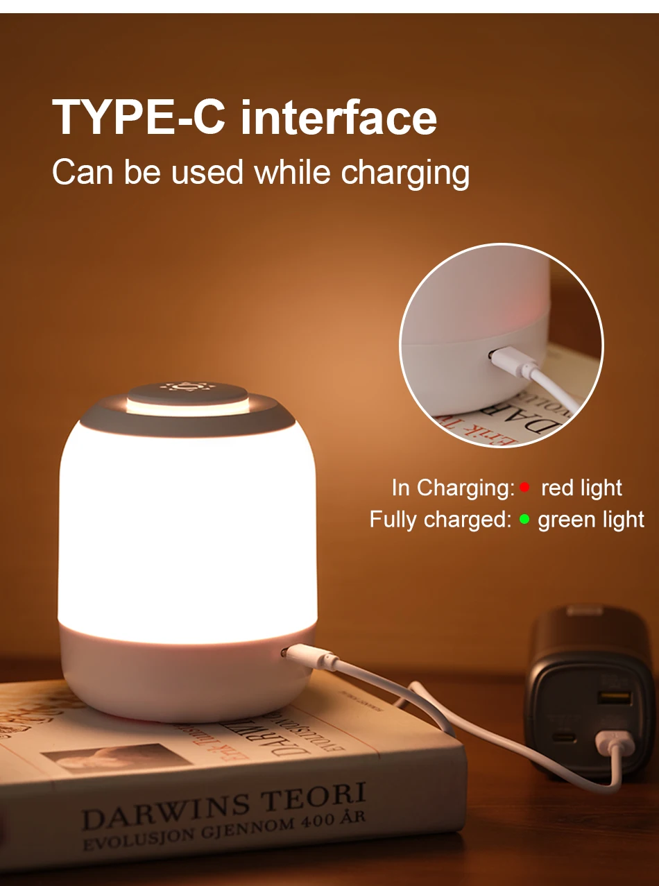 Stylish Touch Sensor Lamp