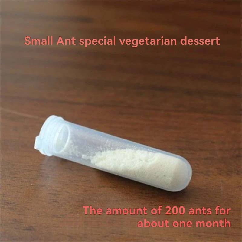 vegetarian dessert