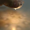 1Pc Dollhouse Miniature Lighting Park Simulation Street Light Ceiling Lamp Model Furniture Accessories For Doll House Decor Toys 6