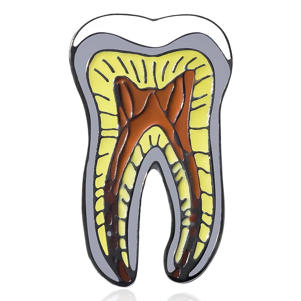 

Dental Model Anatomy Lapel Badge Brooch Enamel Needle Dental Dentist Accessories Jewelry Creative Gift