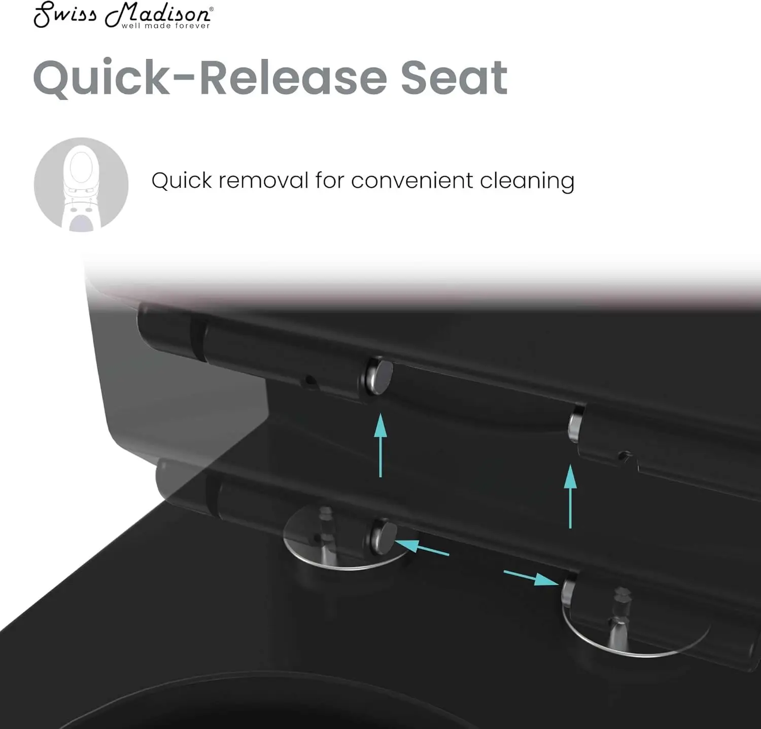 Chateau One-Piece Elongated Toilet Dual-Flush in Glossy Black 1.1/1.6 gpf Soft-Close Quick-Release Toilet Seat 4