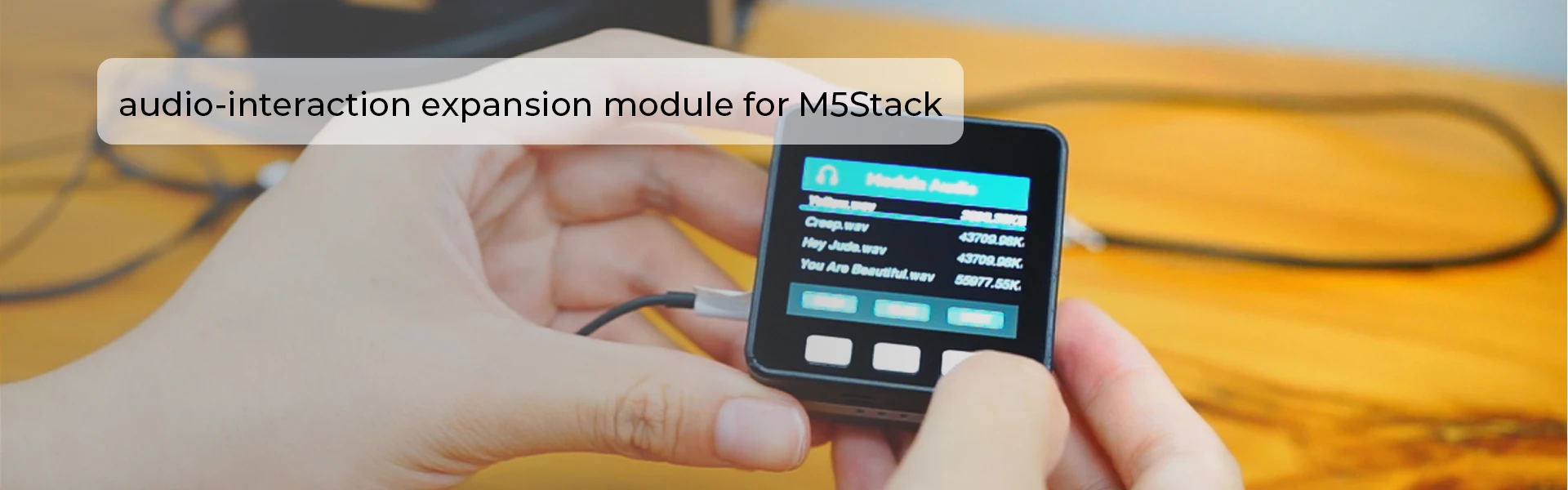 Official Audio Module (ES8388)