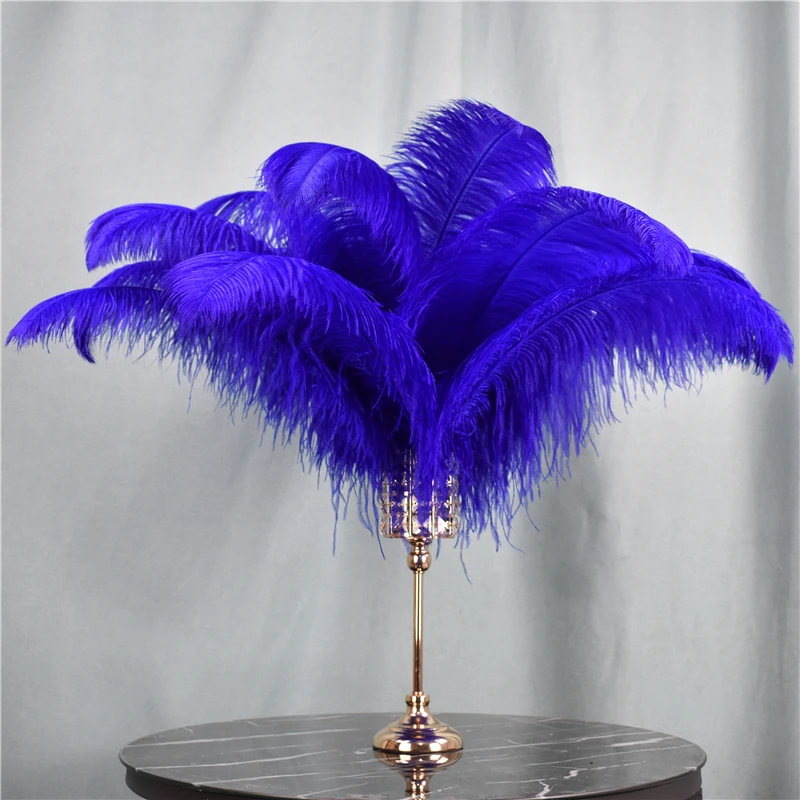 10Pcs/Lot 50-55cm Ostrich Feathers for Crafts Table Centerpieces Handicraft  Accessories Feather for Vases Natural Carnival Plume