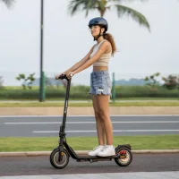 Trottinette électrique 5TH WHEEL, pneus pleins de 10 pouces, puissance de pointe de 600 W, 25 km/h, autonomie de 30 km, clignotants, 36 V 7,5 Ah 4
