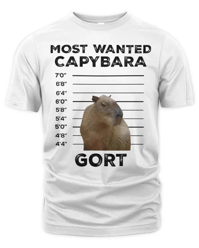 Capybara Potter 남녀공용 귀여운 3D 프린트 패턴 티셔츠, 인기 있는 캐주얼 반팔 상의, 편안한 티셔츠 티