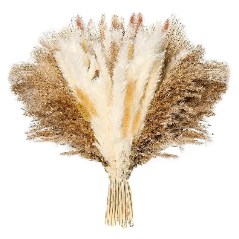 

Dried Pampas Grass Bouquet Mix Rabbit Tail Grass Natural Lagurus Ovatus Pampas Dried Flower Bouquet Floral Wedding Decoration