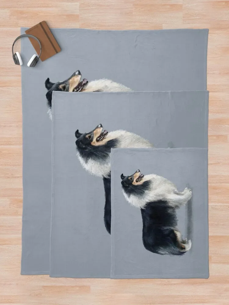 ��� ���� �ݸ� ������ ���, ���Ÿ� St, ���Ÿ�, �β��� ħ�� ����, ���� ���