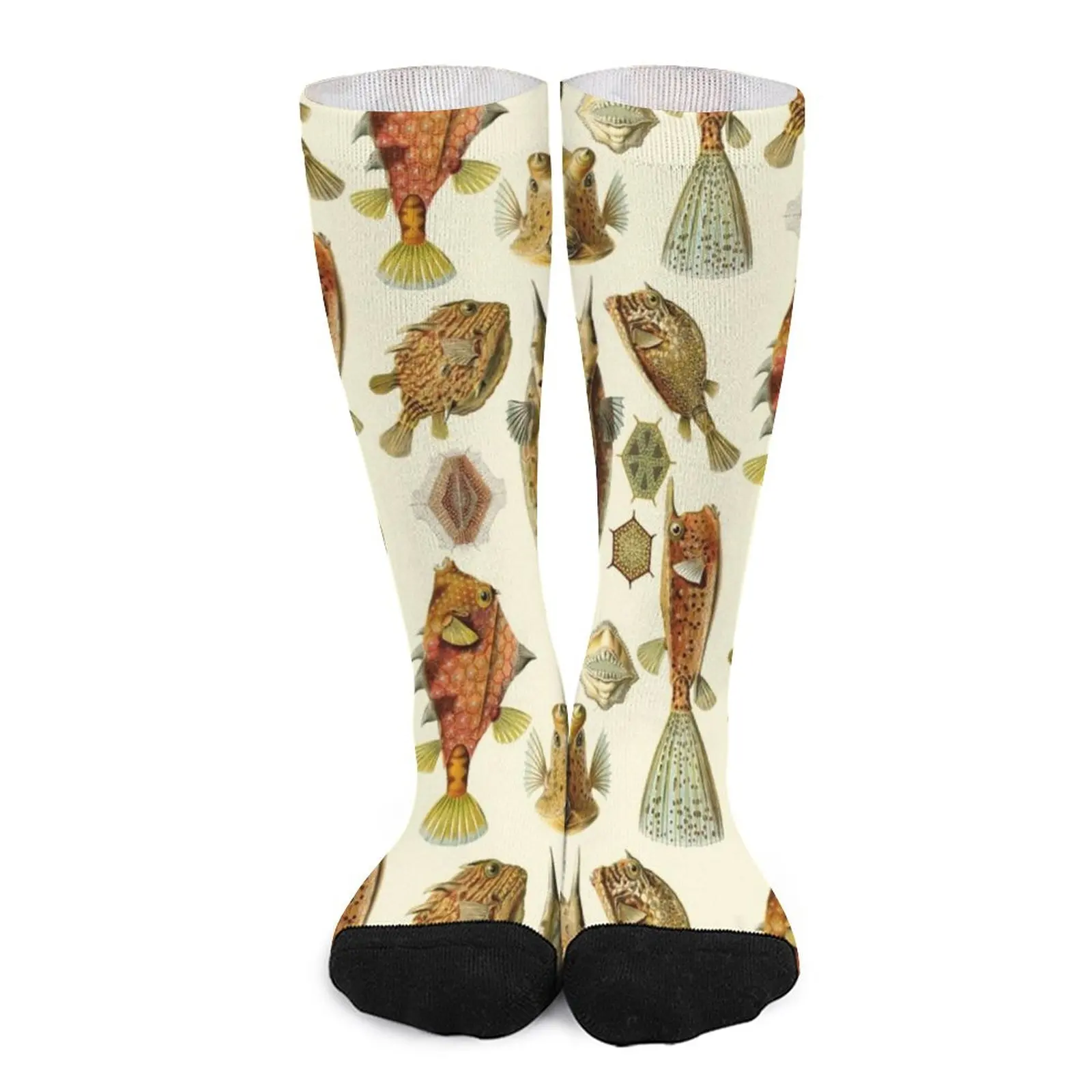 Ernst Haeckel - Ostraciontes Socks Men's socks with print Women's compression socks cute socks green wolf painting socks socks with print funny gifts compression socks men women s warm socks