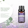 PHATOIL Pure Aromatherapy Essential Oil (10ml) 2