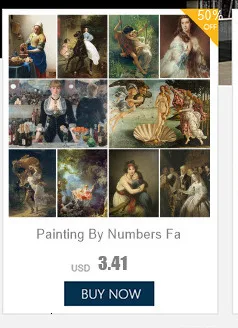 Description Picture 5 of itemFlowers Rose Tuilp Poppy DIY Painting By Numbers Set Oil Paints 40*50 Picture By Numbers Photo Decorative Paintings For Adults