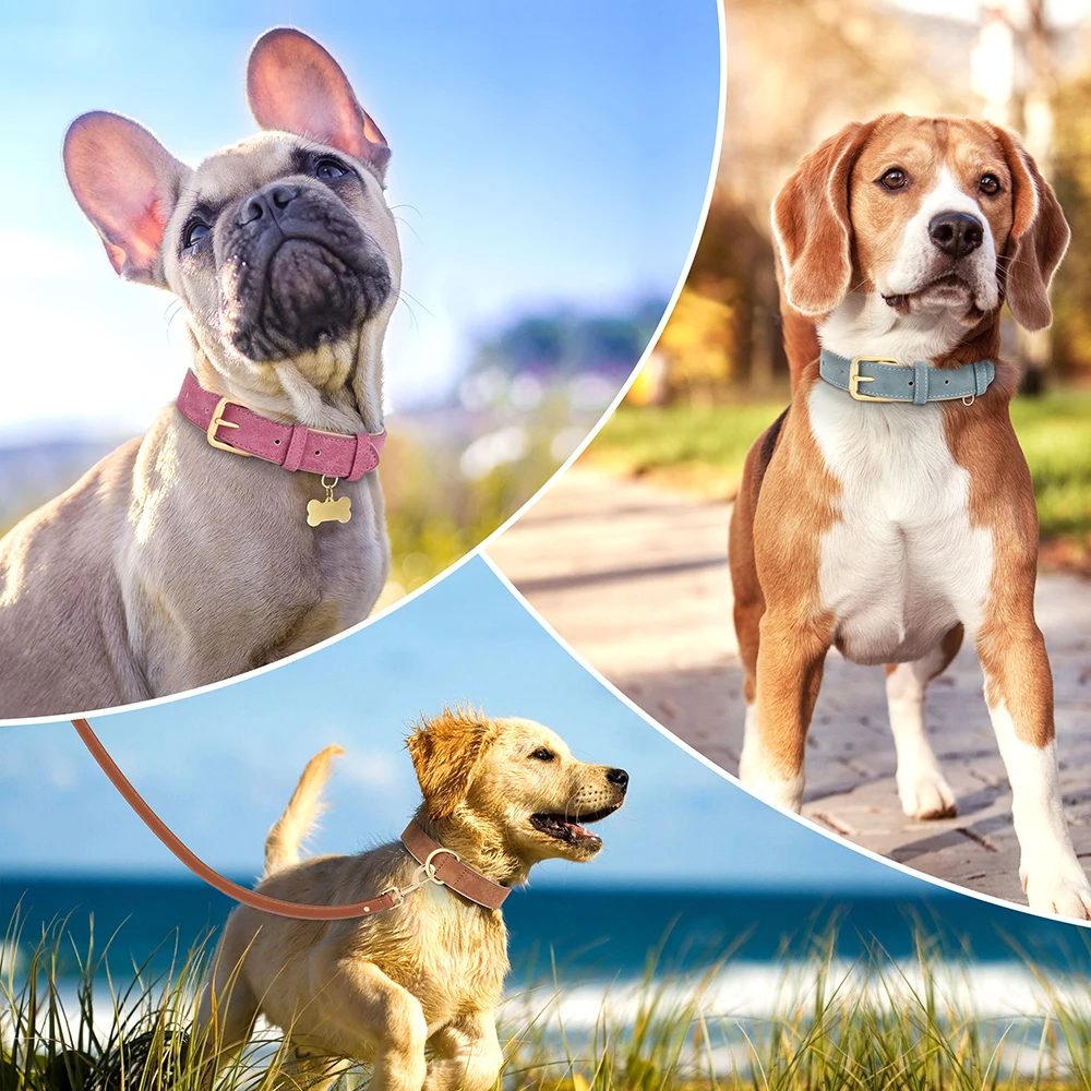 Dog Collar Leather Soft Padded Adjustable For Small Medium Large Dogs Pug Pet Necklace