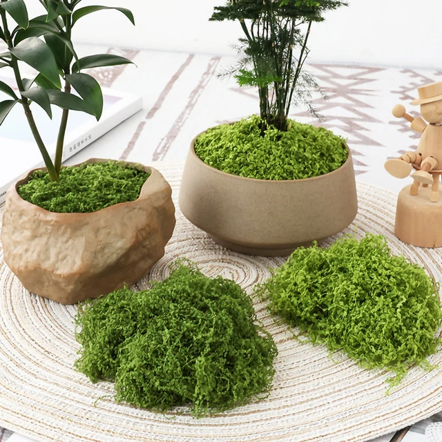 Simulated Moss Turf Bionic Artificial Fake Moss Micro Landscape Layout  Ornaments Lawn Bonsai Potted Plants Paving Landscaping - AliExpress