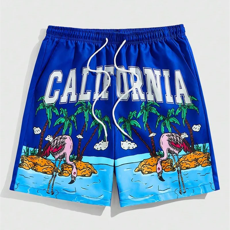 Holiday Style 3d Printed Shorts For Men's Outdoor Sports Surfing Board Shorts Fashion Leisure Trend Quick Drying Short Pants 5