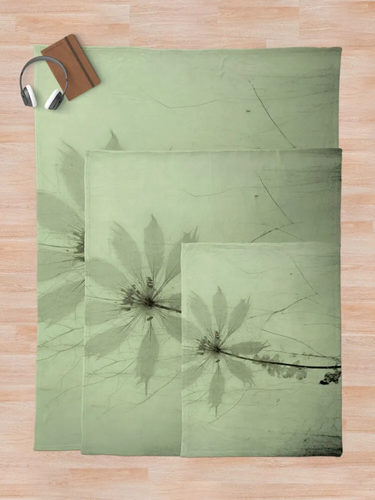 �� ���� �÷� ������ ���, ������  �����̳� ���