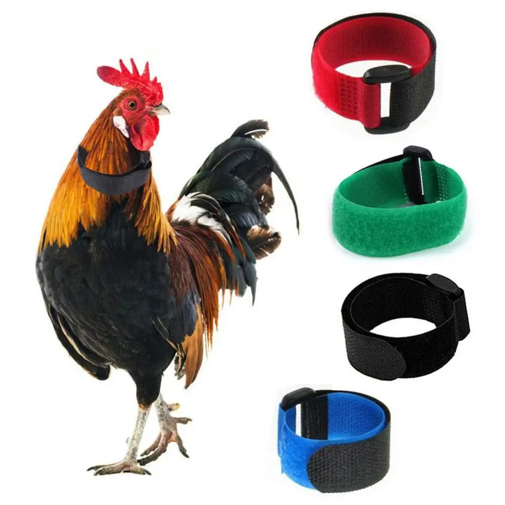 

2 Pcs Rooster Collar Wear Resistant Nylon Fade-resistant Rooster Poultry Collar Rooster Noise-Free Anti-Hook Neckband For Goose