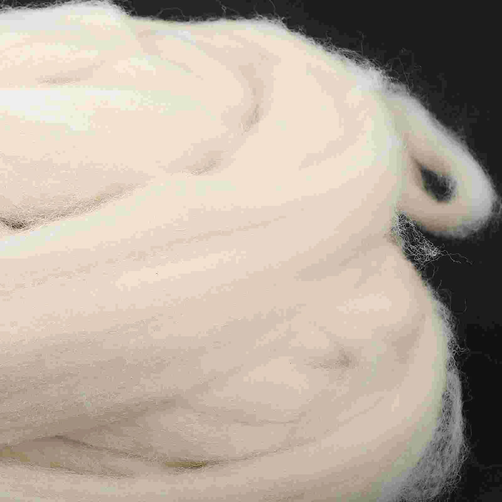 200g Soft Wool Roving for Felting Crafts Spinning Wet Jewelry Making 3D Sculpture Projects Diy Felt Package Woolen Supplies