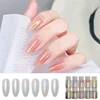 10g/Bottle 6 Color Pearlescent Aurora Chrome Nail Powder Iridescent Shell Powders Holographic Mirror Effect Nail Pigment Dust 3