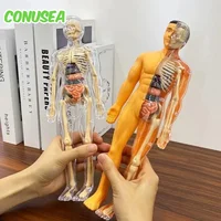 Children's Human Skeleton Organ Model Toys Science Education Cognitive Assembly Skeleton Structure Puzzle Assembly Toys for Kids 1