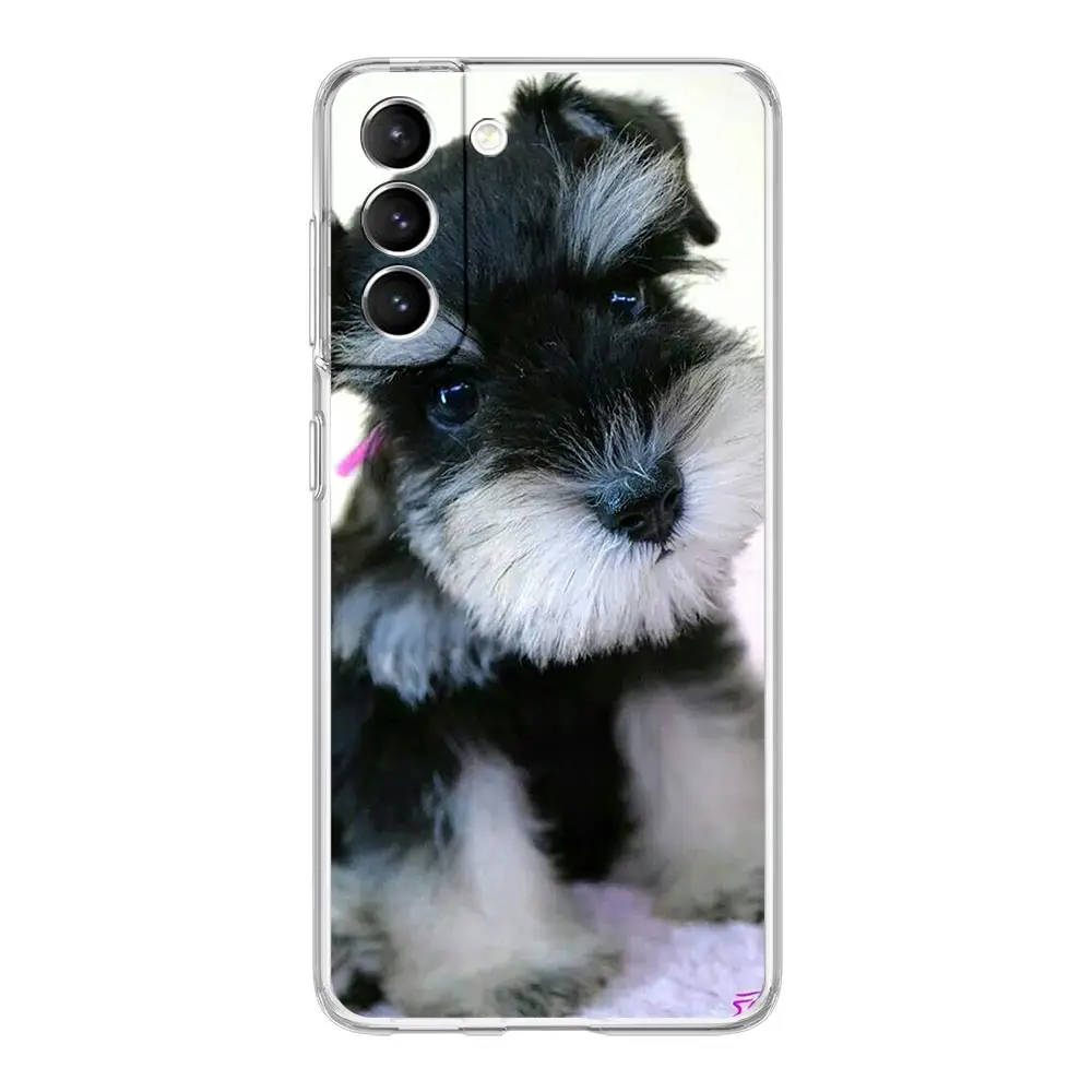 Clear Soft Cover Phone Case with Cartoon Schnauzer Dog Design