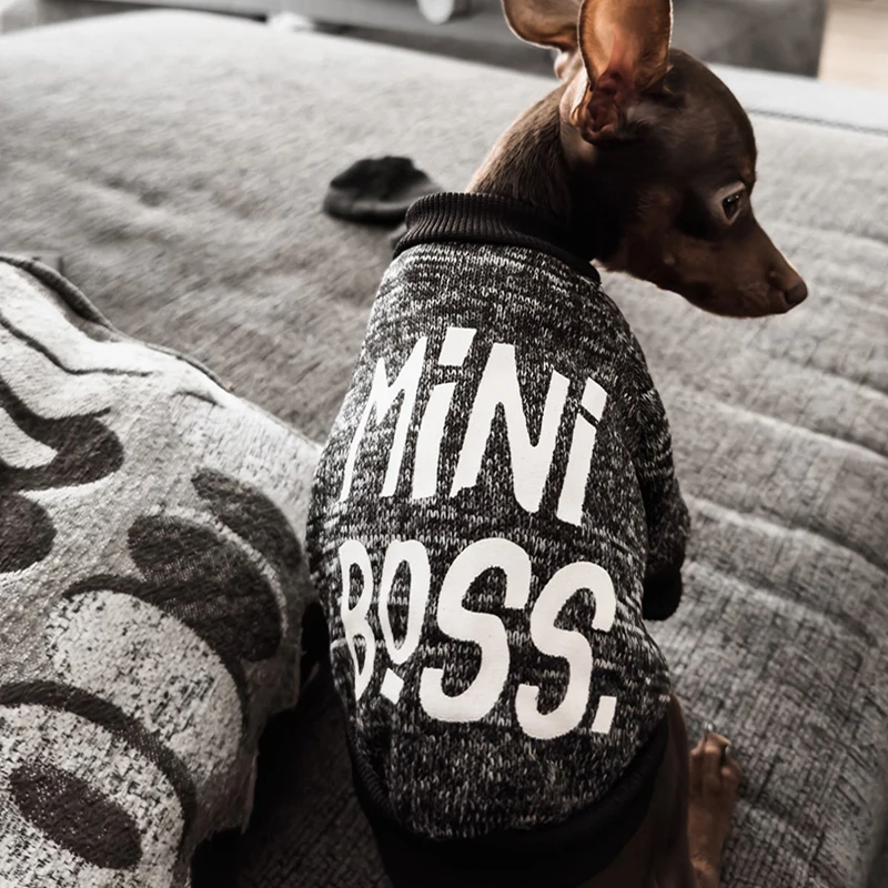 Pet Clothes Dog Hoodie For Chihuahua Small Dog Clothing Puppy Clothes Pets Products For Winter Chihuahua Costume Cats Pug