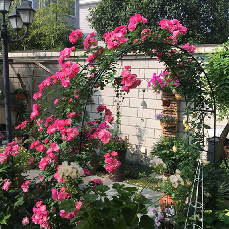 

Metal Garden Arch Plant Flower Climbing Rattan Shelf Wedding Round Arch Background Rack Garden Lawn Supplies Wedding Decoration