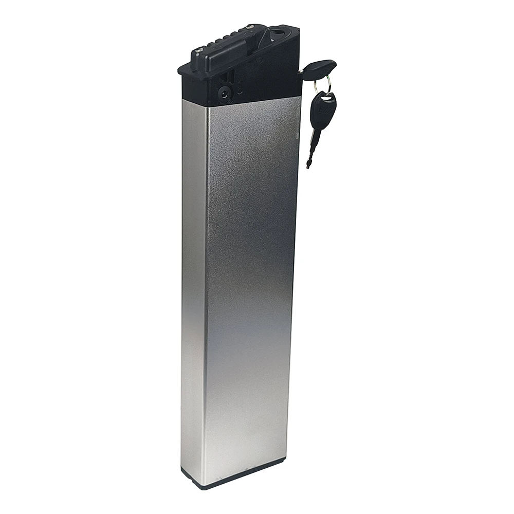 

ALX DCH-006 48V Folding Ebike Battery 14Ah 12.8Ah 10.4Ah Paselec ADO A20 Fiido M1 Foldable Bicycle with Charger