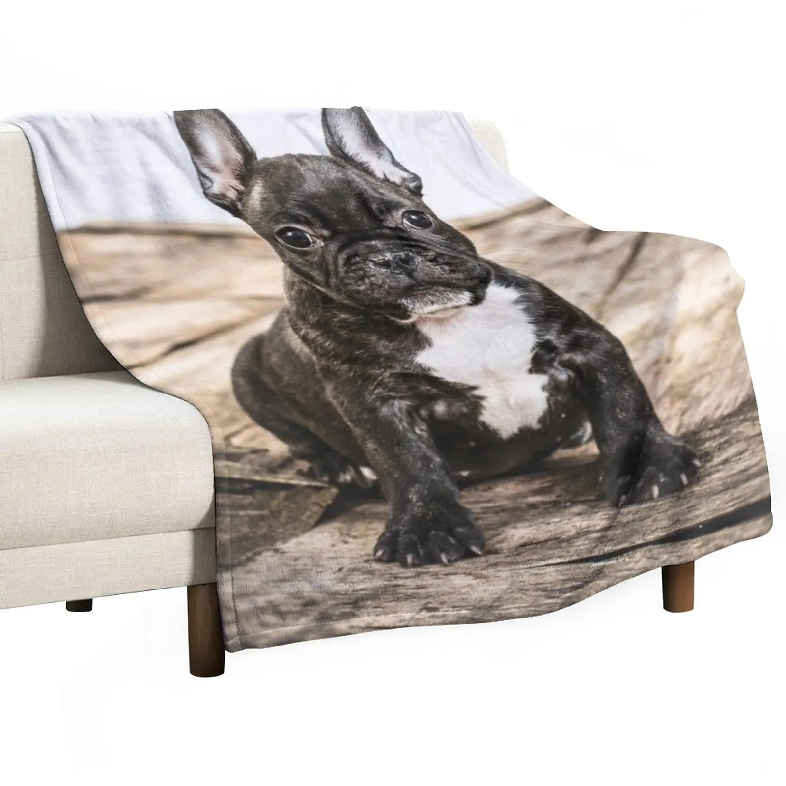 

French bullodg puppy Throw Blanket Furry Blanket Blankets For Baby Personalized Gift Luxury Brand Blanket