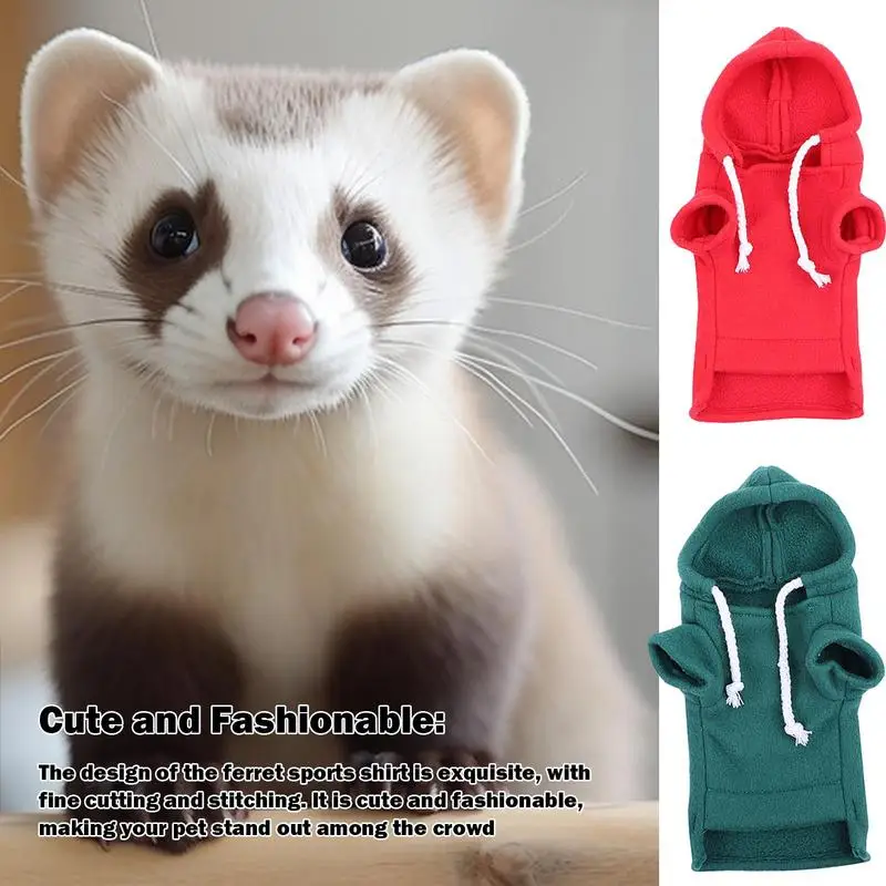 Small Pet Hoodie 1