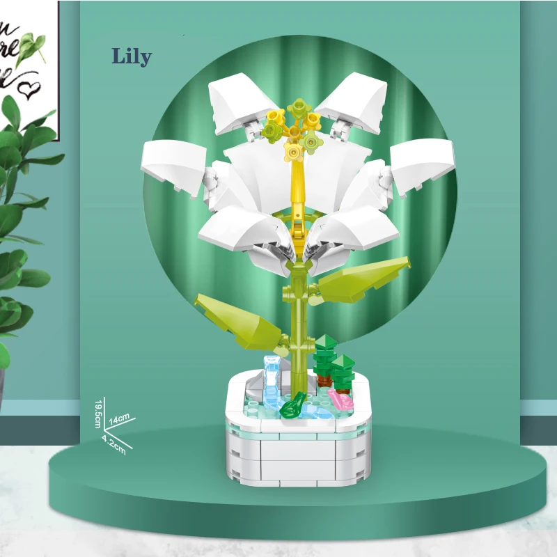 103C-Lily