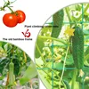 1-2roll 1.8x0.9-5m Garden Plant Climbing Net Plant Trellis for Fruits Vegetables Grapes Cucumber Net Plant Trellis Pergolas 4