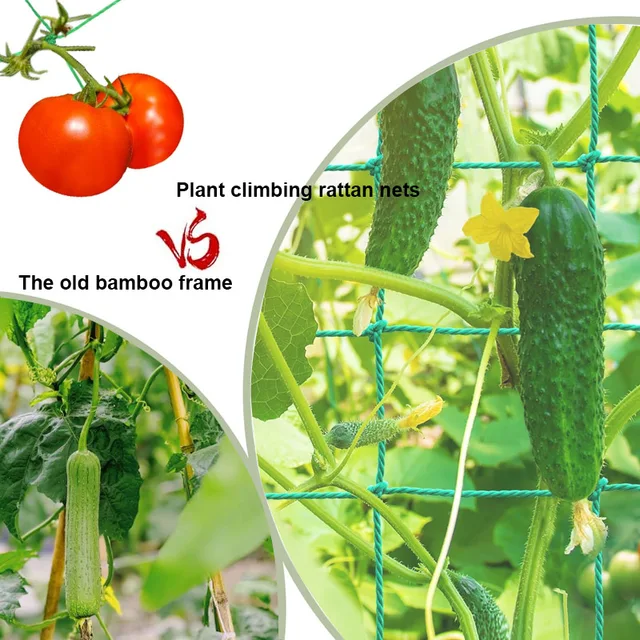 1-2roll 1.8x0.9-5m Garden Plant Climbing Net Plant Trellis for Fruits Vegetables Grapes Cucumber Net Plant Trellis Pergolas 4