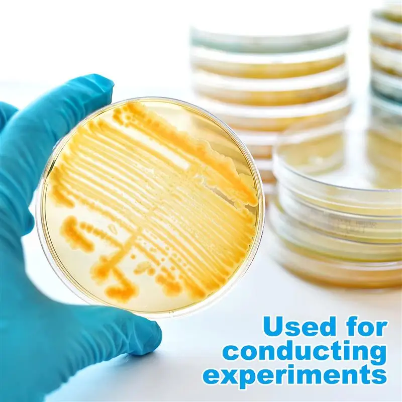 Petri dishes 10pcs 7cm prepoured agar plates for science projects