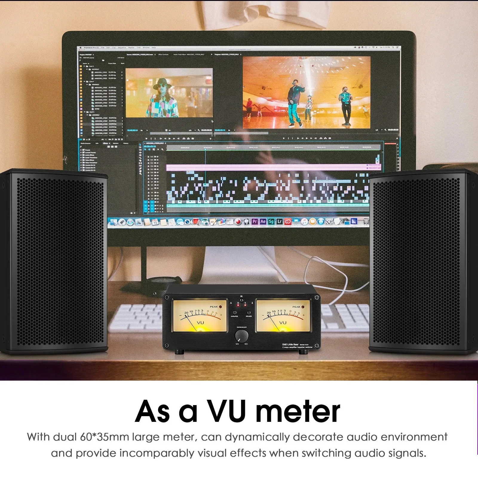 Dual Analog VU Meter Sound Level DB Panel Display 2-way Amplifier / Speaker Switcher Box Selector W/ Remote Control vu meter display switcher box