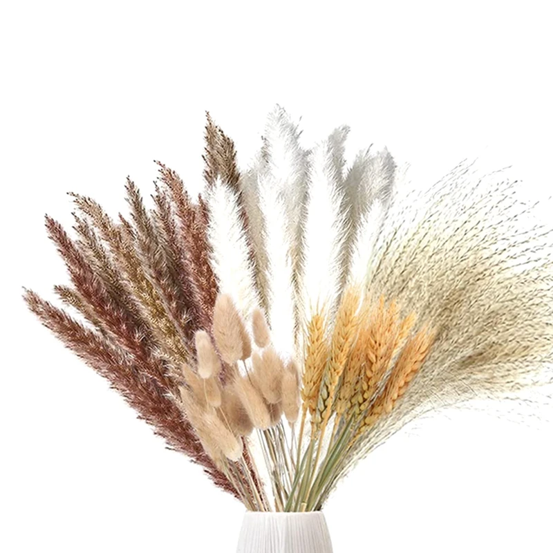 Hot Yo-70 Pezzi Pampa Erba Essiccata Pampa Erba Decorazione Naturale Essiccata Pampa Erba Fiori Secchi Piante Fiori Secchi
