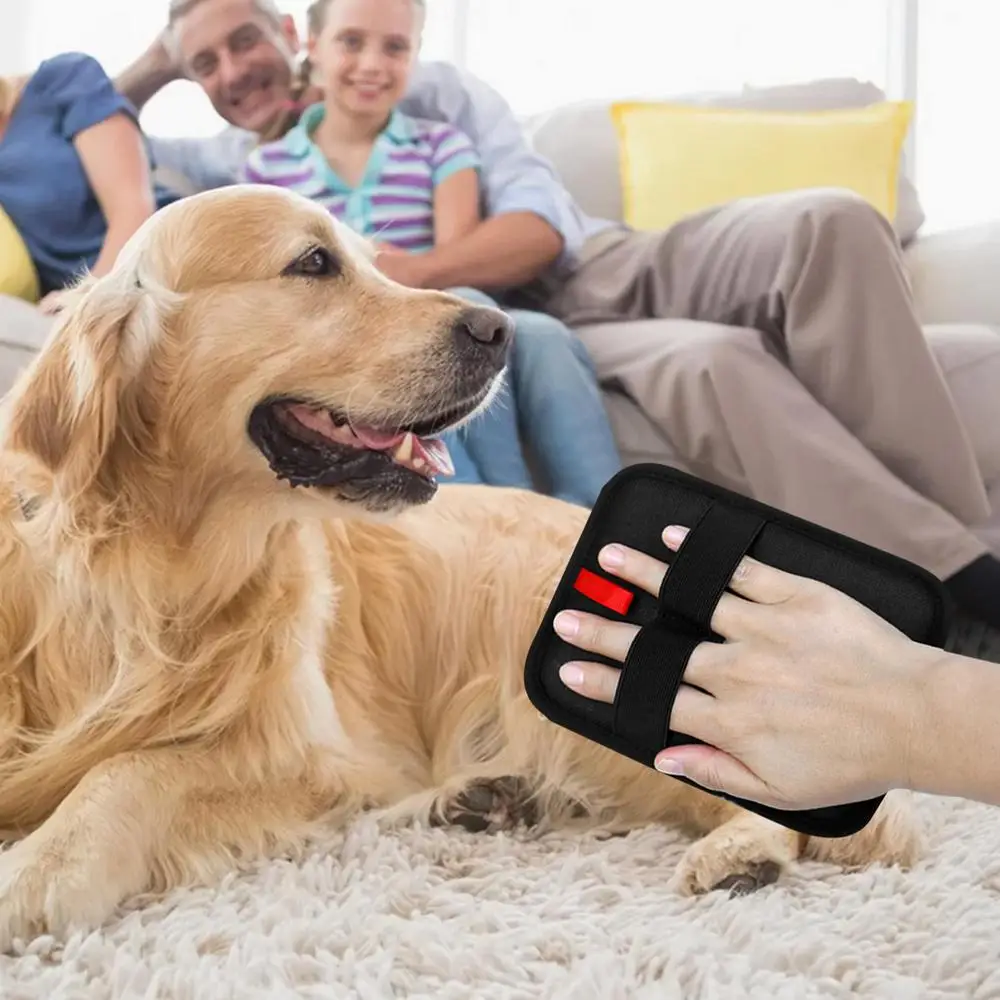 Sa831080c7ada417888020473399c0007n