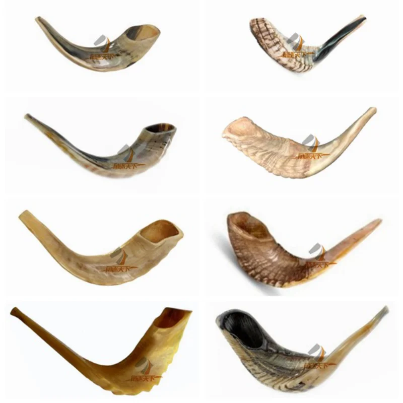 Polished Shofar Israel Genuine Natural Rams Horn Smooth Mouthpiece For