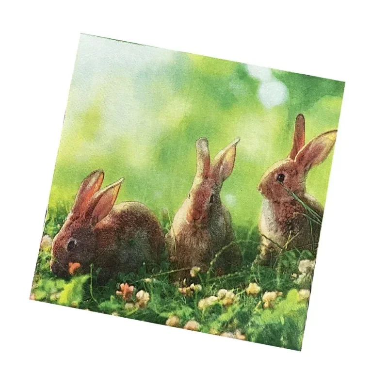 20pcs 33cm 2-Ply Meadow Bunny Printed Paper Napkins Easter Party Decorative Paper Placemats Cocktail Napkins