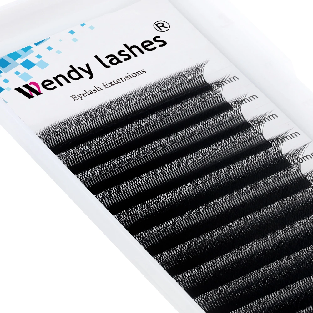 Wendy Lashes 6D W Shape EyeLash Extension Premade Volume Fan High Quality Fake Eyelashes Supplies Natural Look Handmade Lash