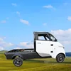 Fully Enclosed Distribution Shed Goods Carrier Adult Middle Steering Wheel Logistics Electric Vehicle