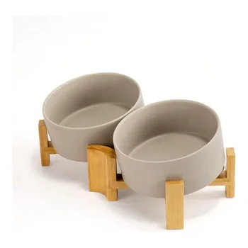 Slanted Ceramic Pet Bowl Set 1