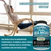 5950-25cef4.jpg Vegetarian Organic Sea Moss Supports Immune System, Joint Health Intestinal Cleansing Detoxification & Cleansing Skin Supplement
