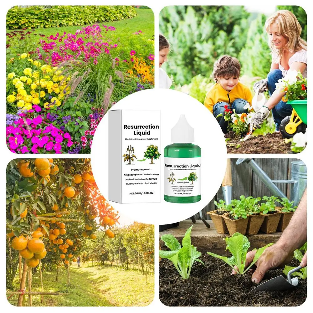 Description Picture 5 of itemLiquid Fertilizer Liquid Plant Food Plant Resurrection Fertilizer Flower Resurrection Liquid Food Natural Fast-Acting Solution