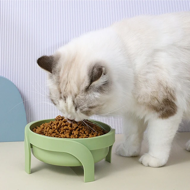 2Pcs Pet Feeder Bowl Dog Cat Bowls Water Food Feeding Bowl for Puppies Kittens Cats Dogs Pet Feeders 2