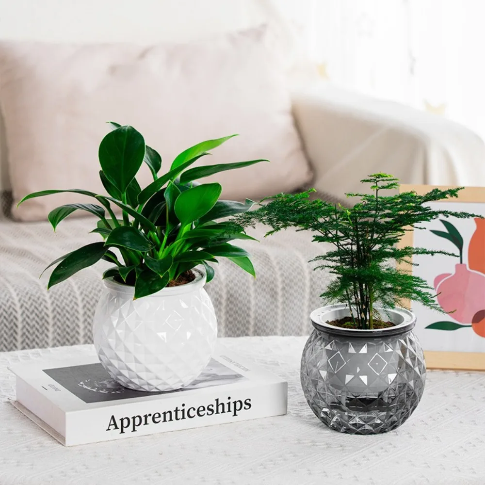 Plastic Self Watering Hydroponic Planter Pot for Indoor Plants