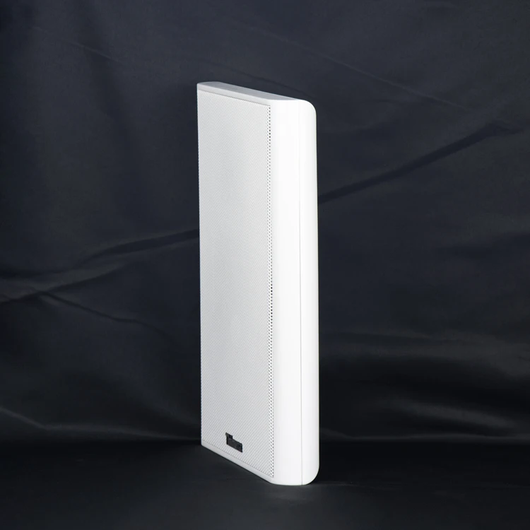 

Thinuna XS-25 10 Вт система общего оповещения, настенный динамик, двухсторонний тонкий плоский панельный динамик для класса